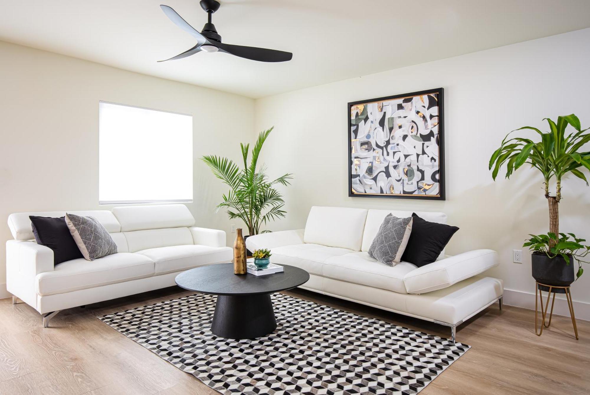 Black Vanilla - Stylish Symphony 3Miles Downtown North North Naples المظهر الخارجي الصورة